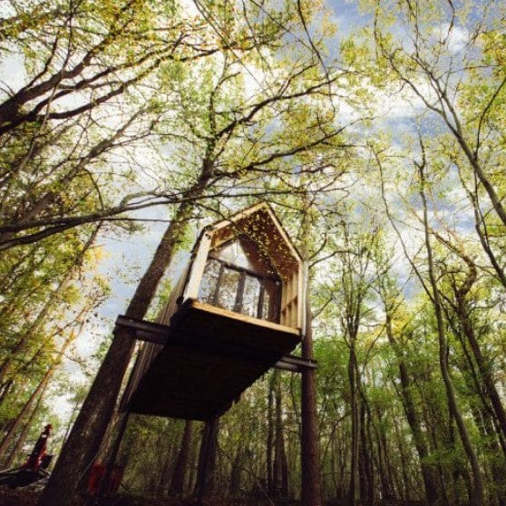 Escape to Stay-Ici: A Cozy Retreat Among the Trees