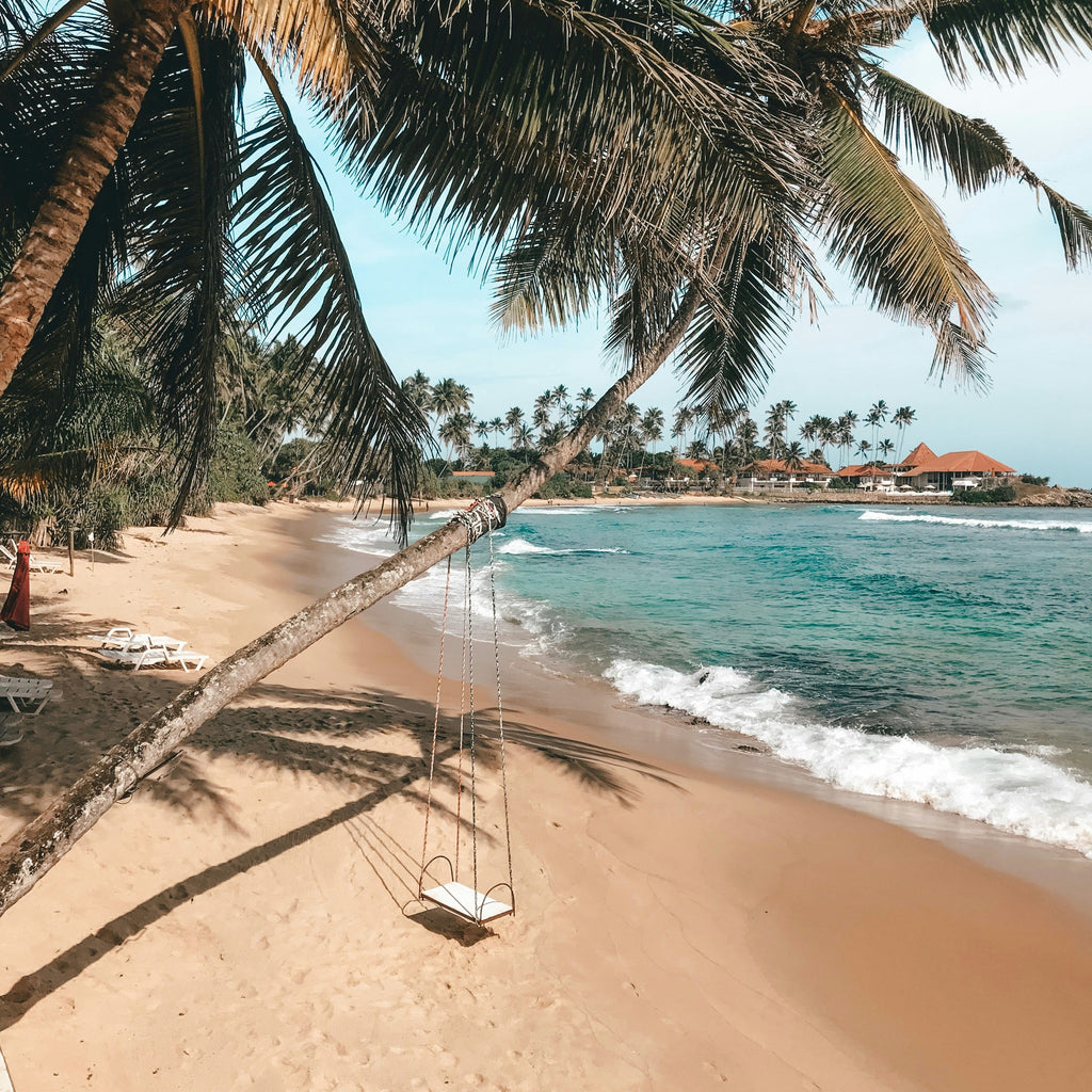 Embrace the summer: enjoying the beach to the fullest